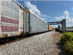 TTGX 825266